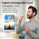 Healthvit Ashwagandha Capsules - Cognitive Function Enhancer